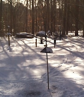 Despite snow and adverse conditions, bluebird houses are in high demand