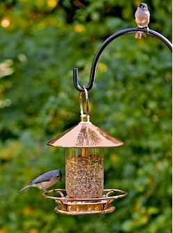 Some tube bird feeders feature generous hoppers and perching areas