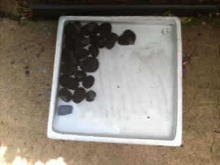 The most shallow birdbaths will accommodate rocks to help feathered friends