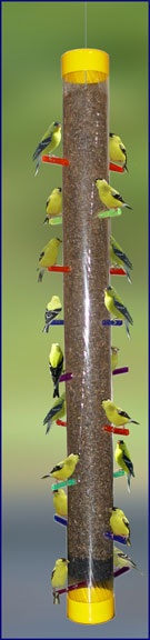 large capacity thistle feeders with lost of perches accommodate more goldfinchess