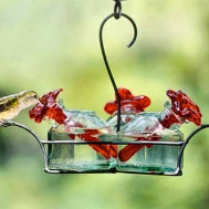 Parasol feeder tubes work great in most Bird Brain Hummingbird Feeders