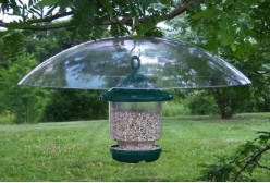 squirrel proof bird feeders that hang with a large baffle