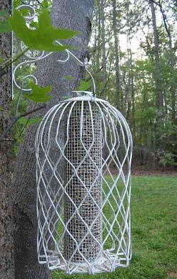 caged squirel proof bird feeder 