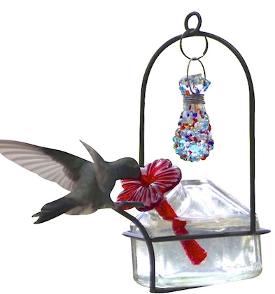 Single Port Glass Hummingbird Feeder by Parasol