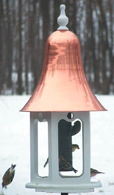 Non-porous wild bird feeders are easier to clean