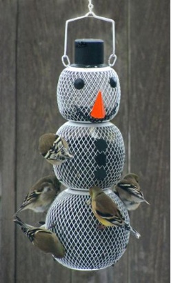 Wild Bird Feeders can have perches or all-over feeding space