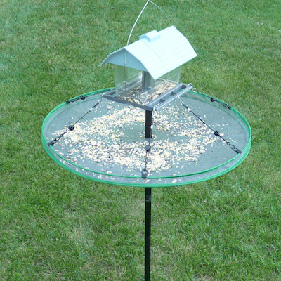 Large birdseed trays may even be pole-mounted