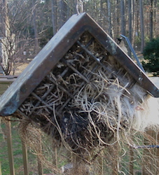 Natural nest materials in suet cage, hang near birdhouses