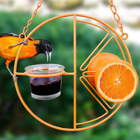 Oriole feeder with glass cup for jelly