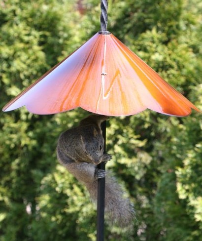 pole-mounted squirrel baffle that works