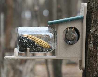 Squirrel feeders done in recycled plastic last much longer