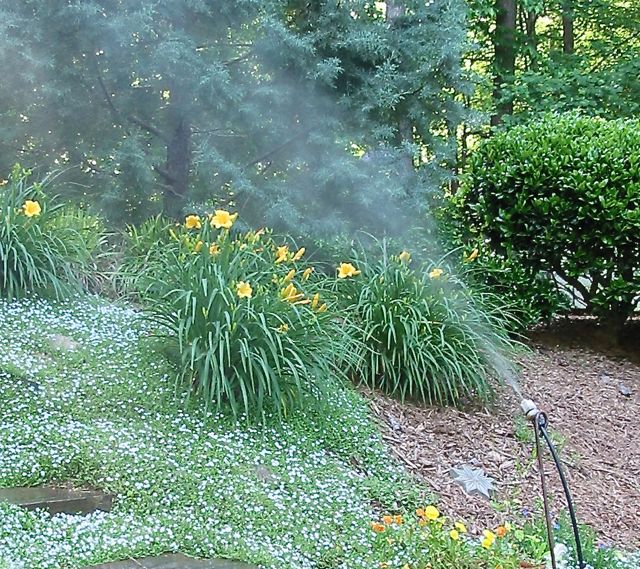 Leaf Mister are just as good as bird baths