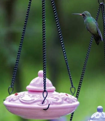 Ana Pink Hummingbird Feeder looks fab among purple and pink flowers