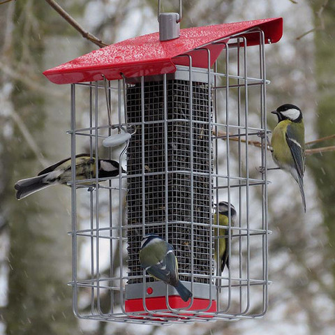 Caged Squirrel Proof bird feeder by Nuttery