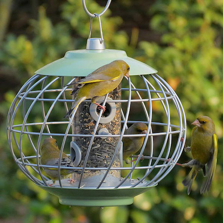 Squirrel Proof Seed Feeder