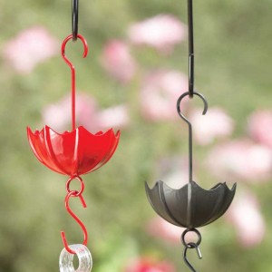 Use an ant moat to keep pests off of hummingbird feeders