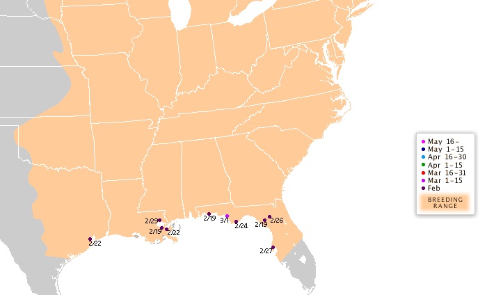 hummingbird migration map-2016, get hummingbird feeders ready