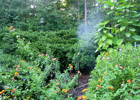 Leaf Misters for birds