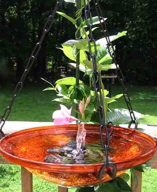 solar hanging bird-bath