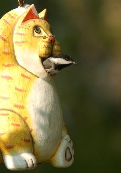 COrange Tabby Birdhouse