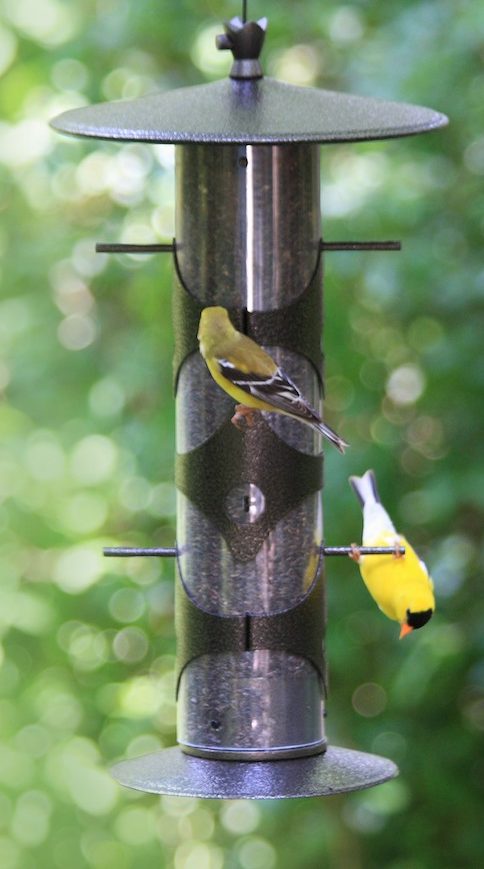 upside down finch feeder