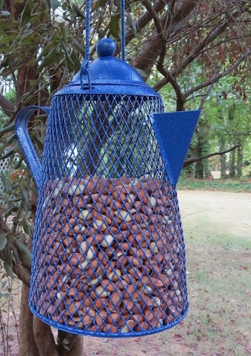 Peant Bird Feeder for Shelled Peanuts