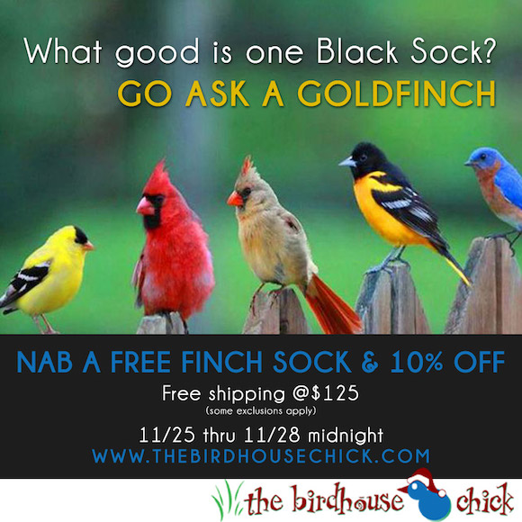 Free Nyjer Feeder Sock for Goldfinches