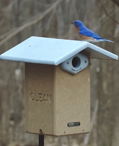 recycled blu bird house