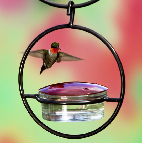 humming bird feeder