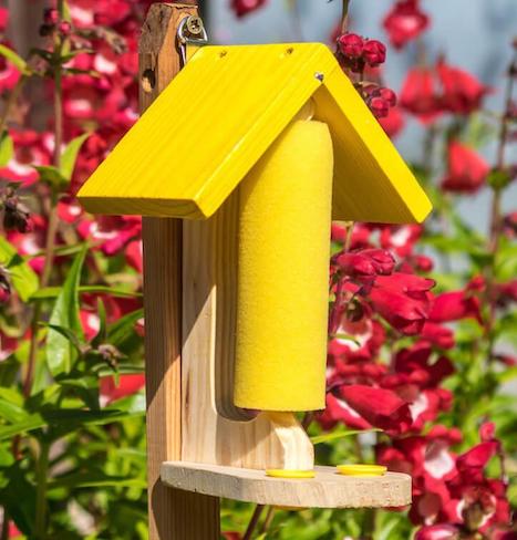 Bee and Butterfly Feeder