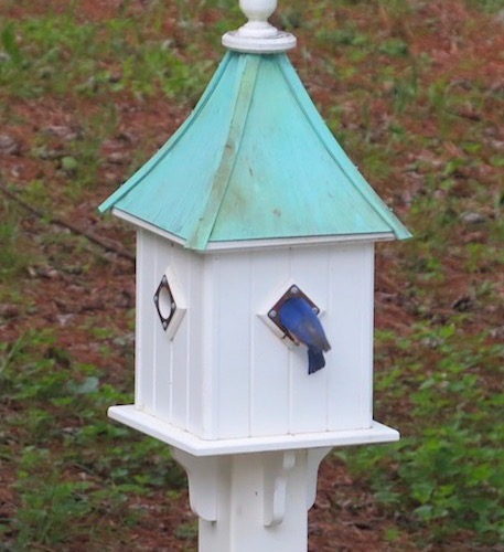 Older Dovecote birdhouse with patina copper roof