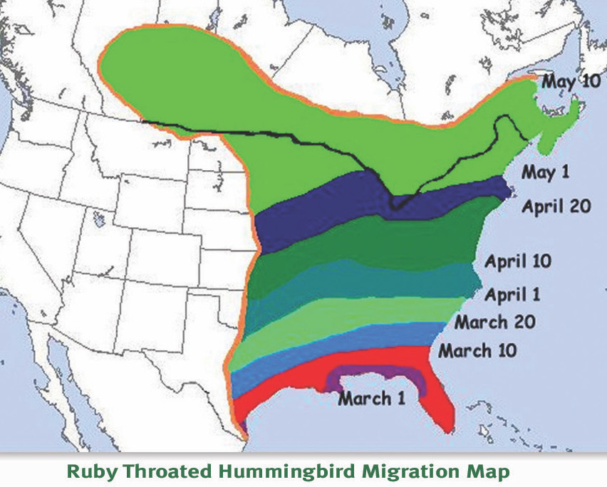 Ruby Throated Migration Map- General Zones