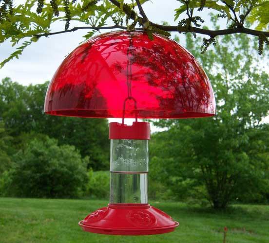 Dr. JB's Bee-Proof Hummingbird Feeder