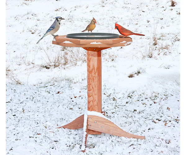 Tall Heated Bird Bath in Snow