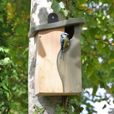 Wood Birdhouse