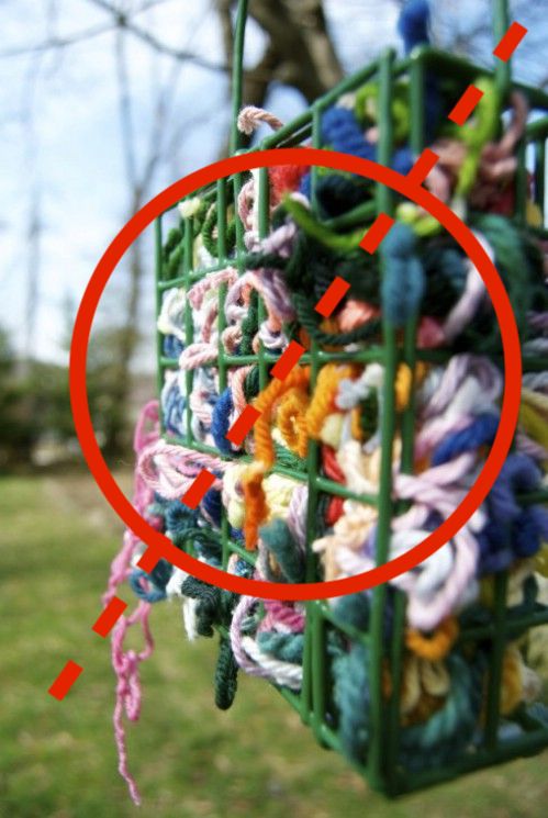 Dyed nest materials can be dangerous whether birds use a birdhouse or not