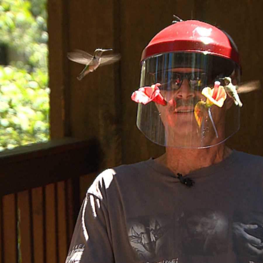 Hummingbird Feeder Mask